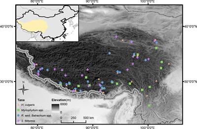 Effects of highland environments on clonal diversity in aquatic plants: An interspecific comparison study on the Qinghai-Tibetan Plateau